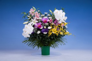 image005